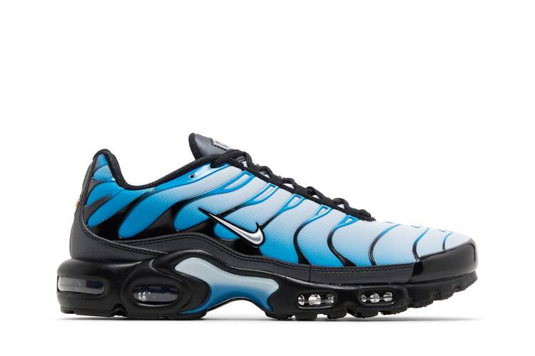 Nike Air Max Plus Blue Gradient - FQ0204-010