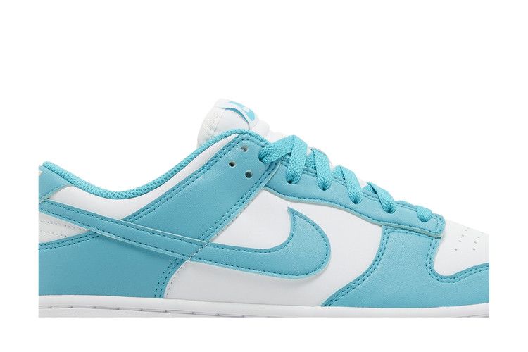 Nike Dunk Low Next Nature Dusty Cactus