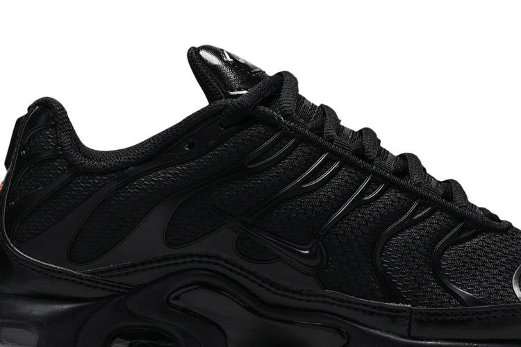 Nike Air Max Plus Triple Black